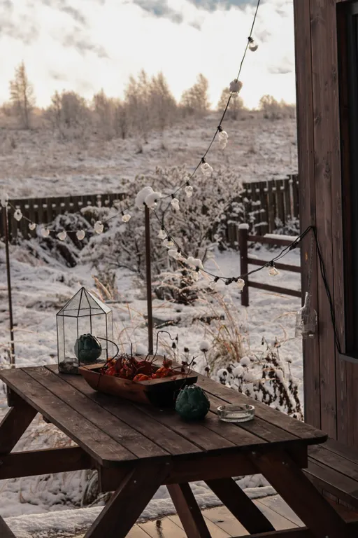 Эстетичный мини-домик с горячими ваннами и купелью