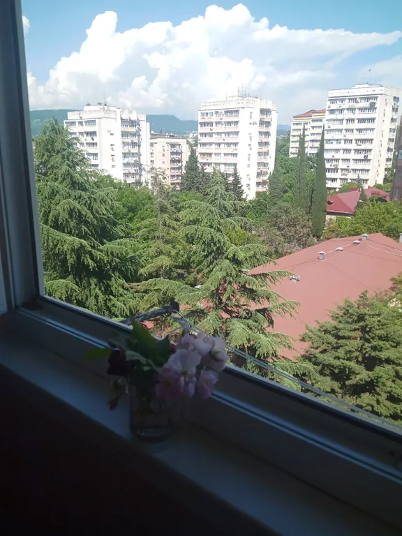 Квартира с шикарным видом