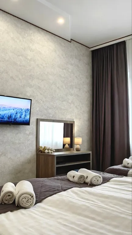 Апартаменты люкс 1