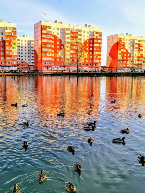 Уютная квартира