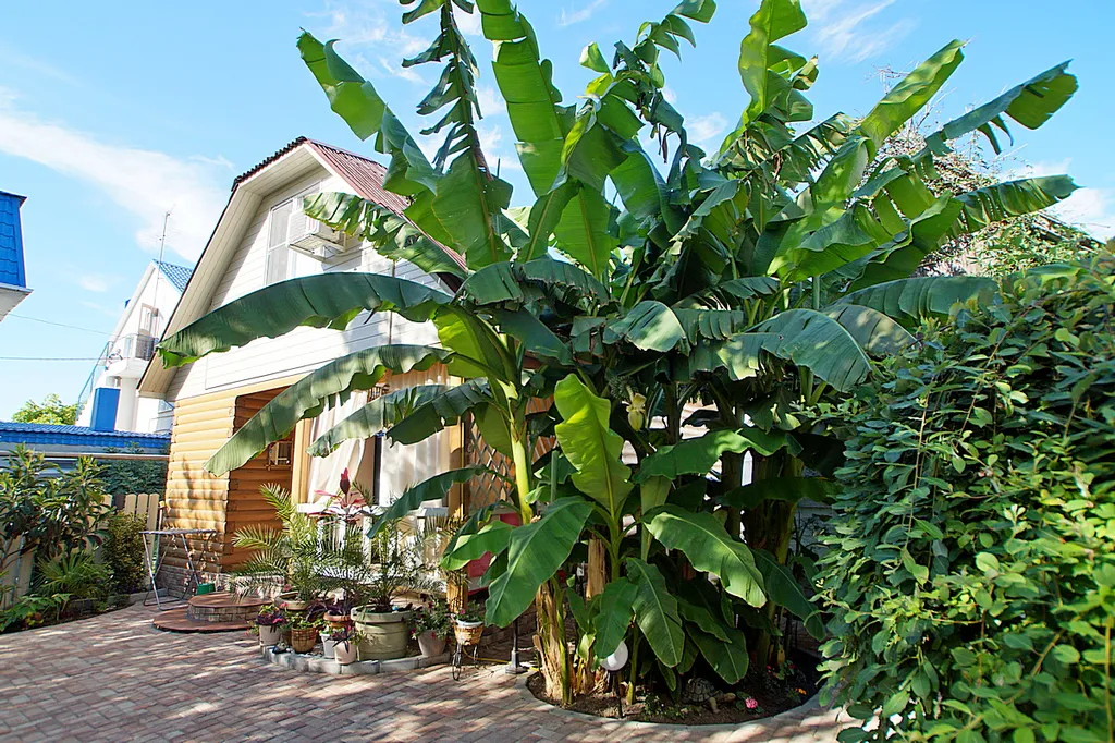 Дом из бруса