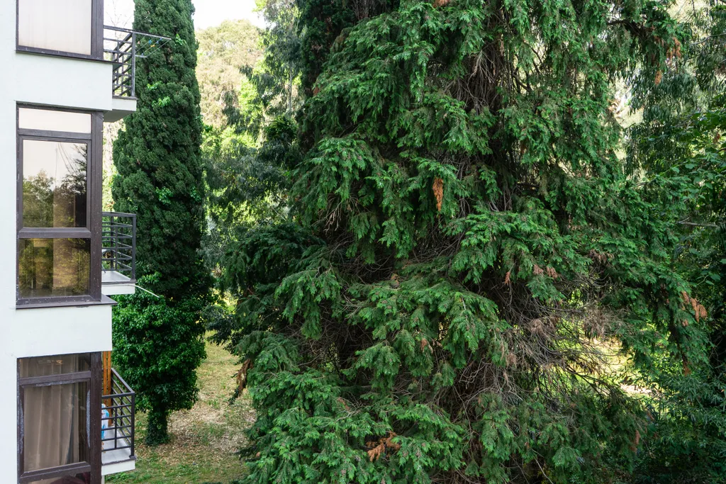 Уютная квартира в ЖК Сорренто Парк