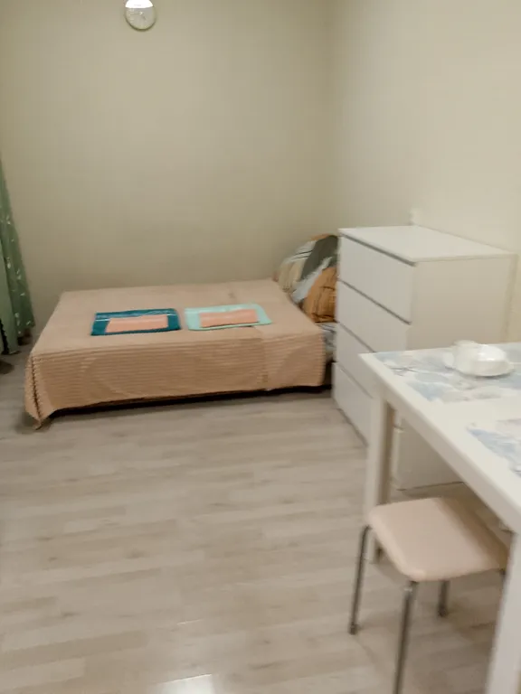 Квартира Уютная студия в ЖК Мирный в центре Индустриального района — аренда посуточно в Пермь