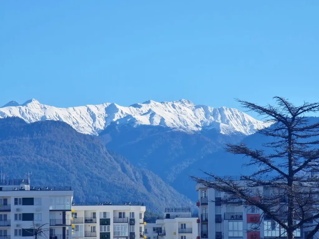 Квартира Квартира Двухуровневая студия в пешей доступности к морю и Олимпийскому парку — Сириус