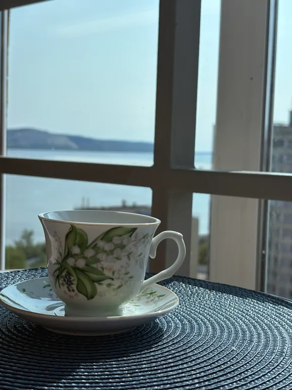 Квартира с видом на Волгу и Жигулевские горы