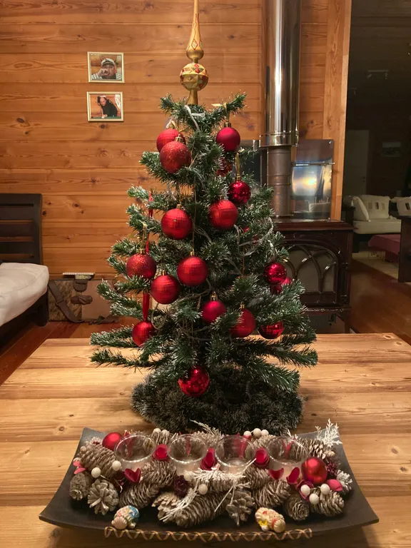 Коттедж золотые пески