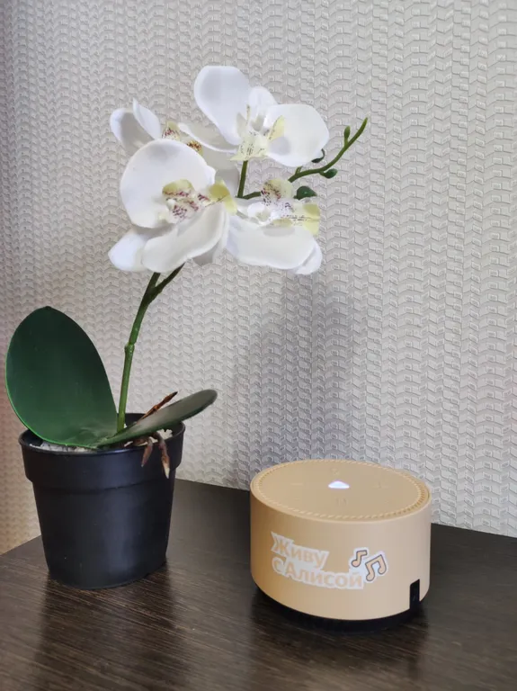 Однушка напротив аквапарка с Алисой