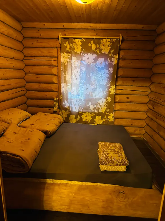 Дом с баней в сосновом бору на озере