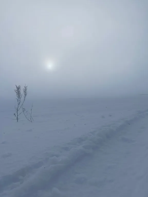 Гостевой дом Пальна в тихом и уютном месте