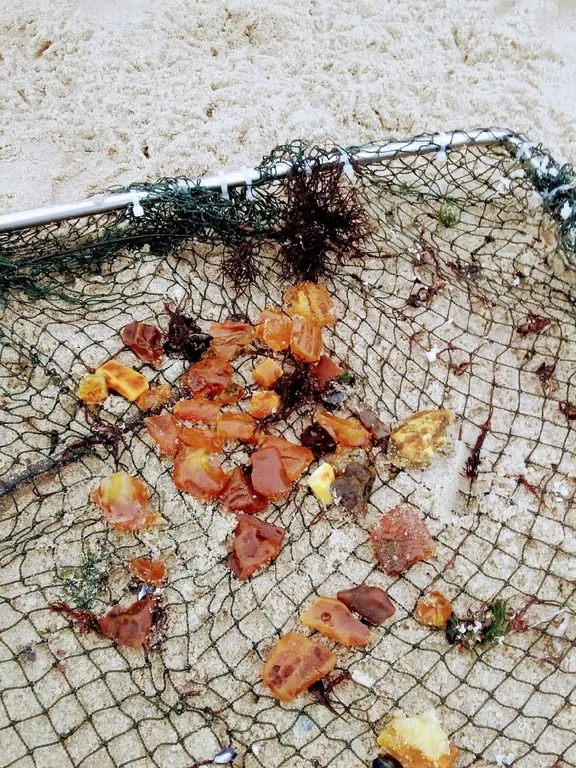 Квартира Квартира Отдых у моря- пляжи Балтики, порт, Пионерский курорт — Пионерский