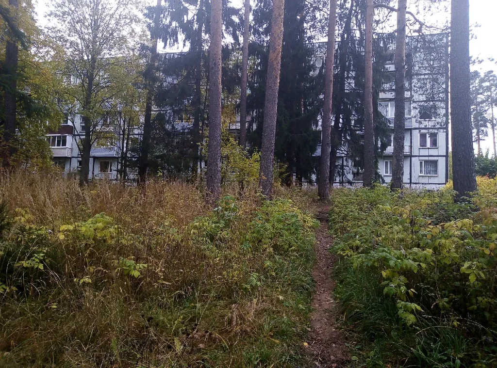 Квартира на берегу озера