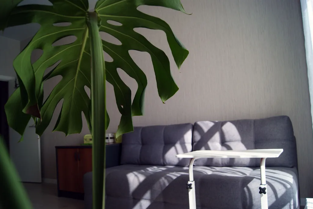 Квартира Квартира Студия недалеко от аэропорта, до центра 20 минут — Санкт-Петербург