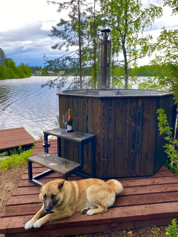 Карельский дом