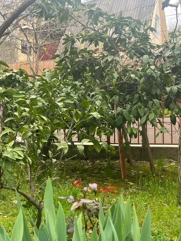 Трехместная комната с телевизором и холодильником в частном доме