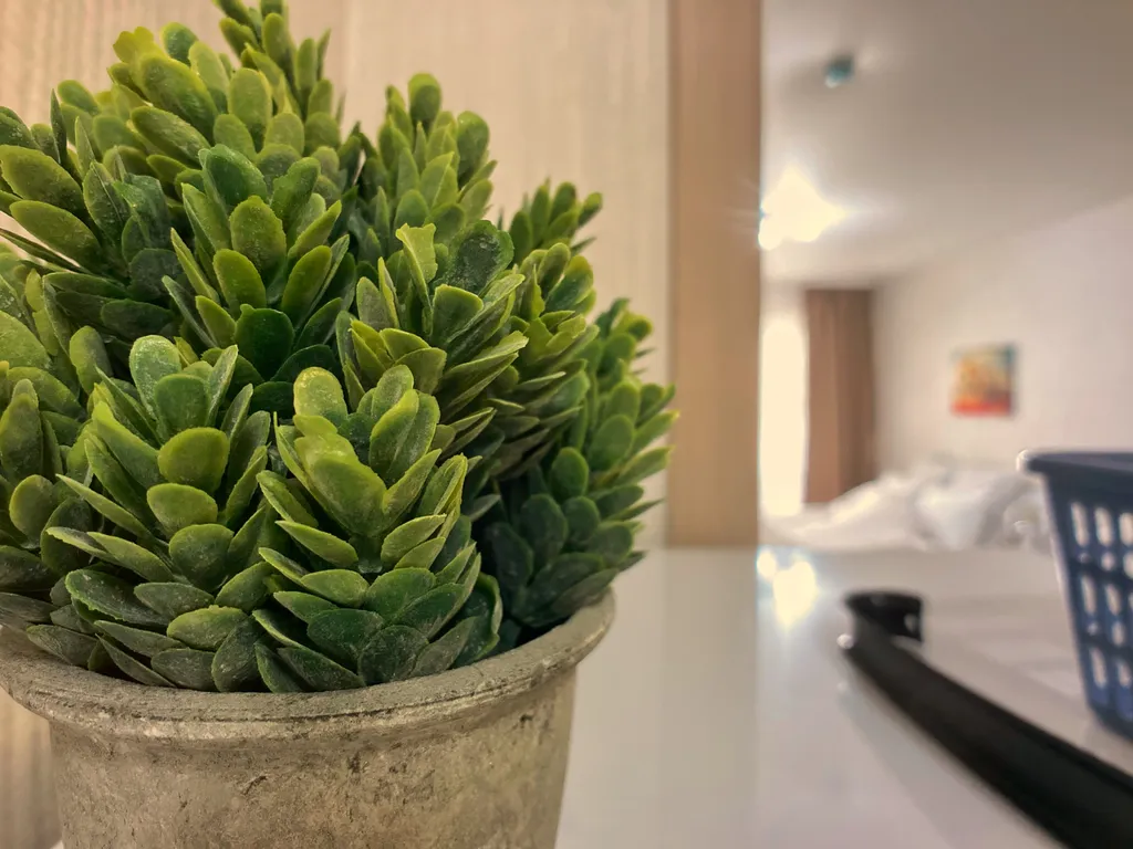 Апартаменты в центре с видом на город