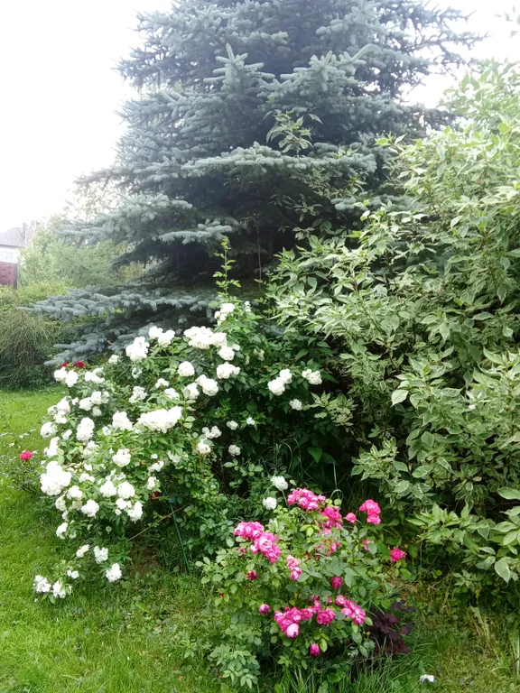 Дом с баней