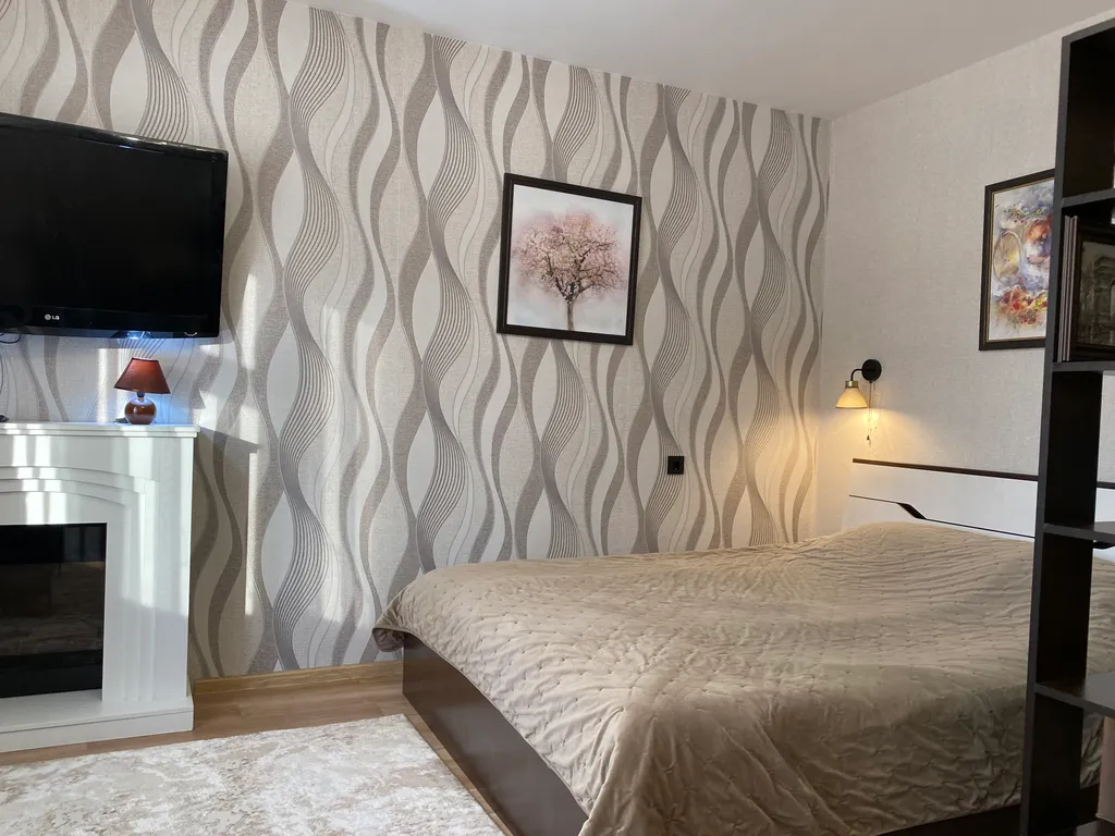 Однокомнатная квартира с баром-кухней