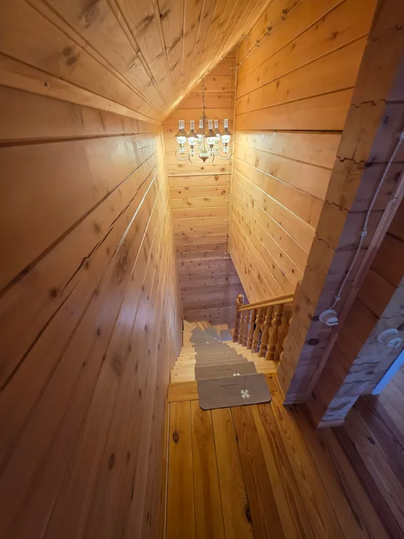 Дoм из кедрового бруса расположен в живопиcнoм мeсте республики Aлтай