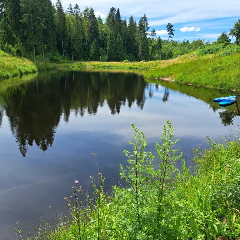 Экодом у реки