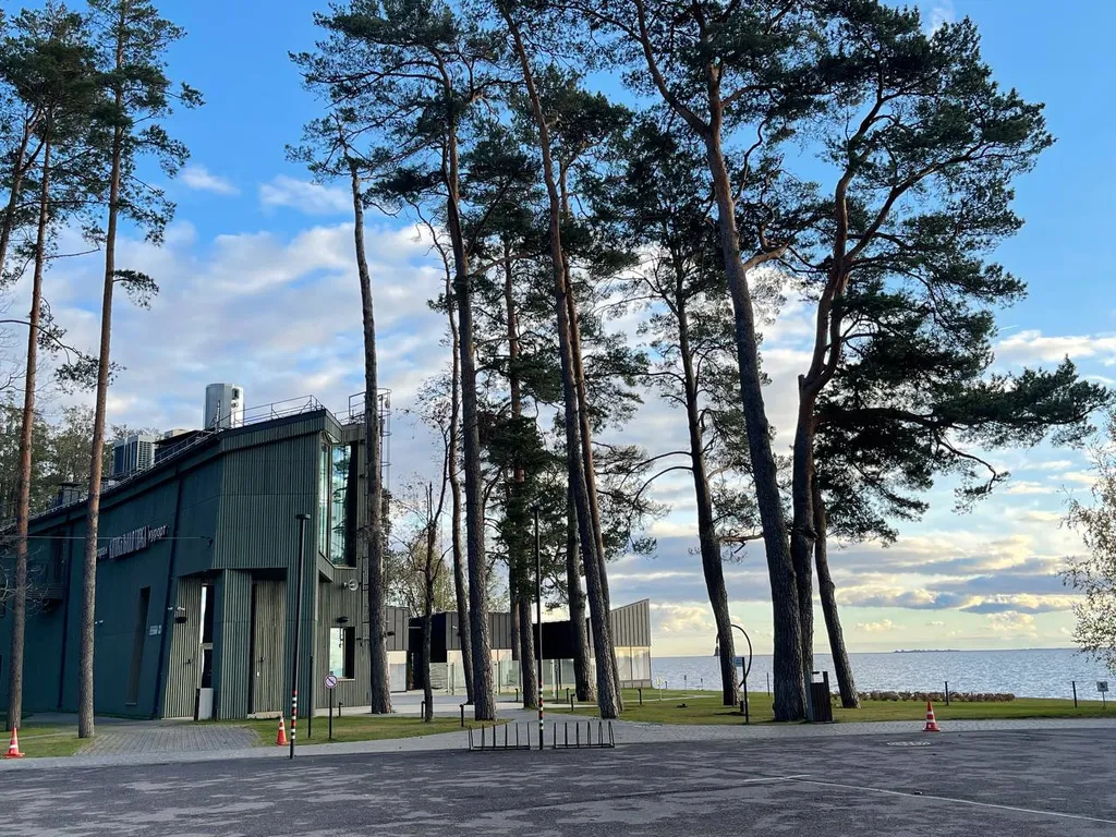 Уютная дача в Репино