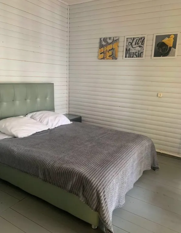 Коттедж Дом на первой линии озера Волго — Турбаза Чайка