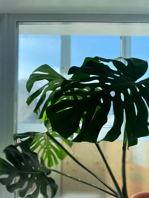 Передохнуть до или после путешествия