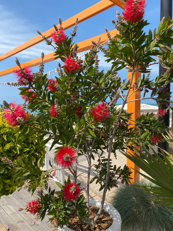 Квартира Апартаменты с видом на море — Сириус