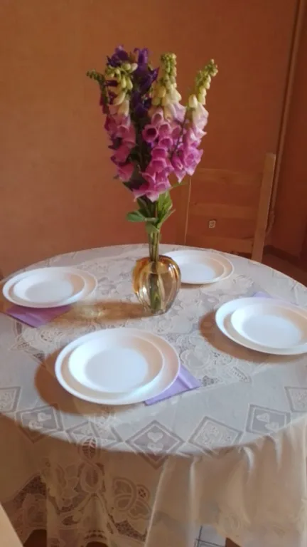 Уютная квартира в центре с видом на купол Владимирского Собора — аренда посуточно в Санкт-Петербург
