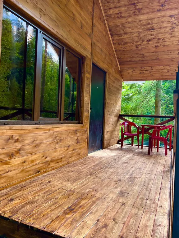 Домики-шале с видом на сосновый лес