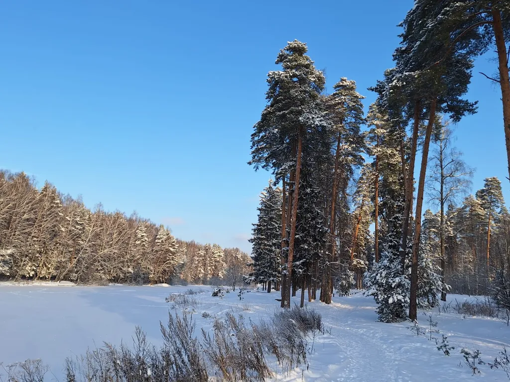 Барнхаус в лесу с розовой гостиной
