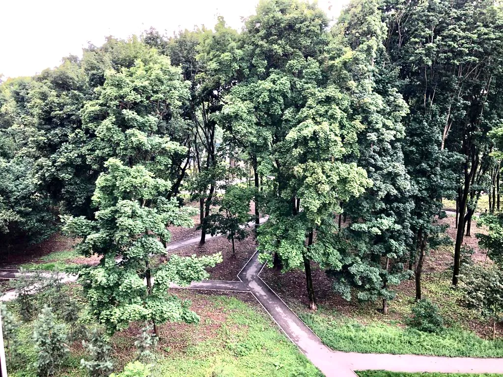 Апартаменты с Джакузи и видом на Парк