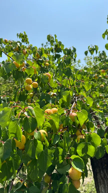 Второй этаж панорамного дома среди вершин