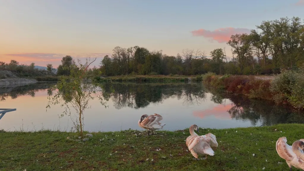 Форелевое поместье Балер