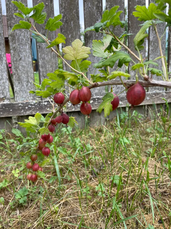 Дом на участке 7 соток