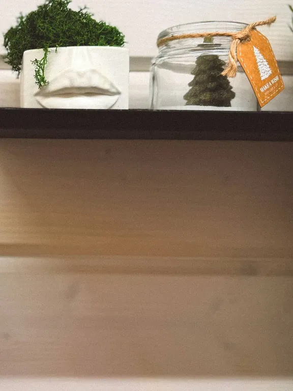 Уютный дом с панорамным видом на лес