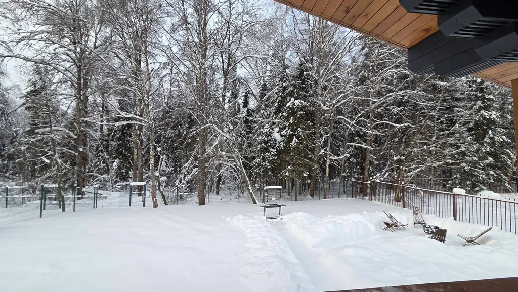 Дом у озера в лесу