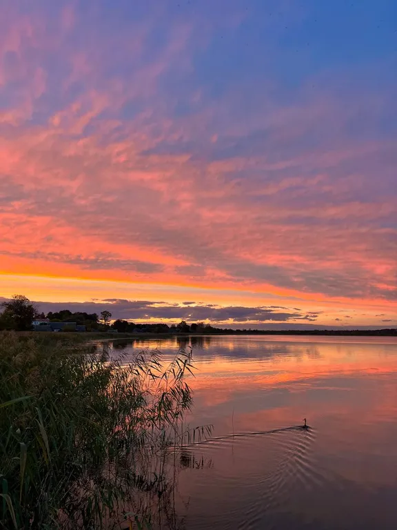 Домик у озера Свирь