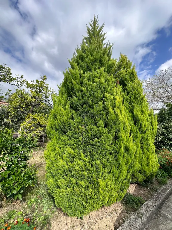 Домик 1-комнатный 3-местный