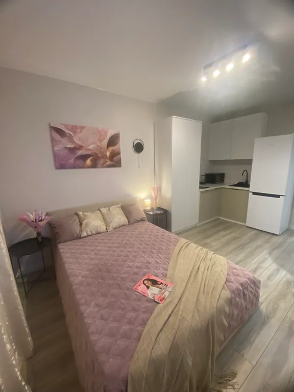 Уютная квартира студия для проведения романтического вечера