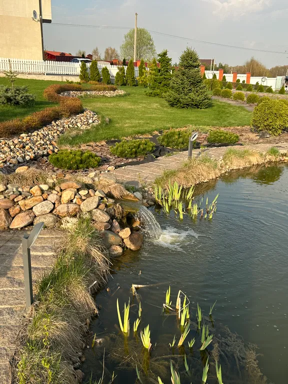 Дом с баней и камином в заповеднике