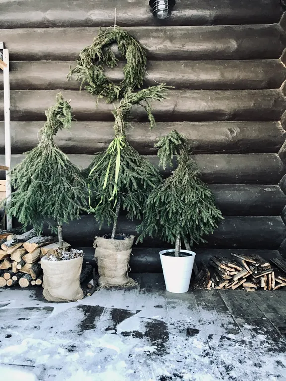 Уютный семейный дом у озера