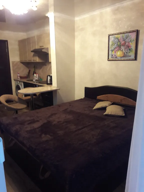 1-комнатная Квартира — аренда посуточно в Сочи