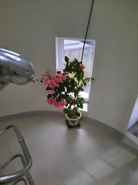 Квартира Комната — Лазаревское