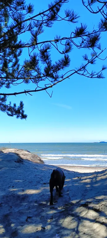 Морской домик на Балтийском побережье