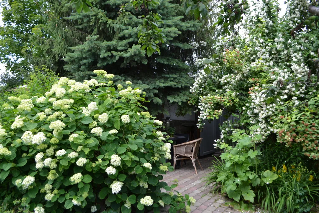 Коттедж Уютный домик для отдыха в деревне — Голицыно