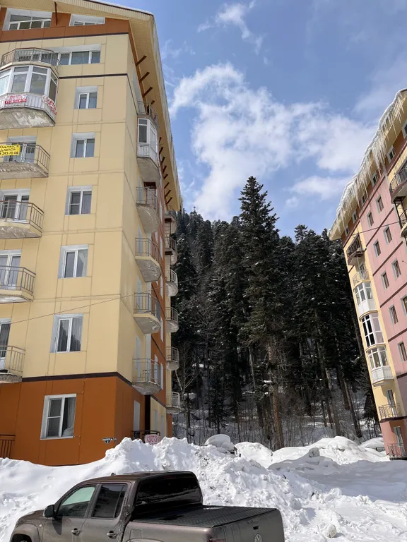 Апартамент (корпус) Пихта