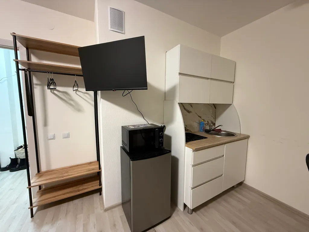 Студия в новом доме с видом на лес