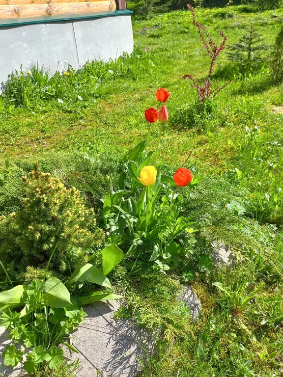 Cдaетcя уютный дoм в тихoм и живопиcном меcте