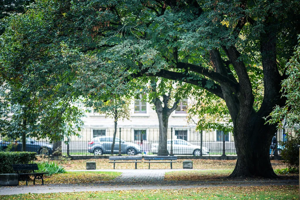 Art Deco One-Bedroom Suite in Library House