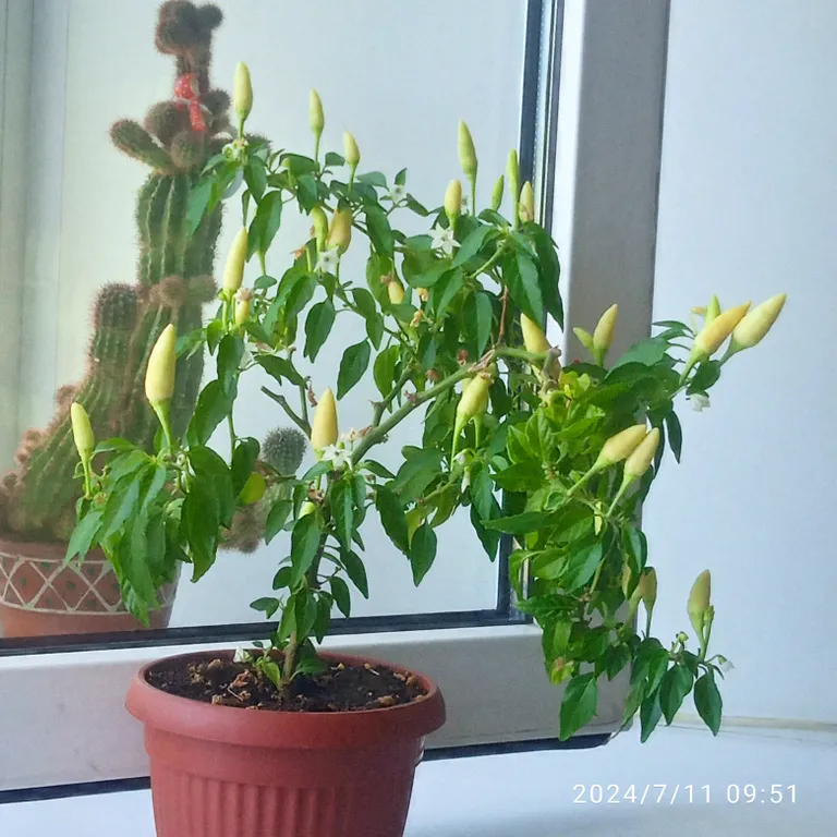 Приезжайте, отдохните